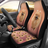 Pomeranian Car Seat Cover 195016 - YourCarButBetter