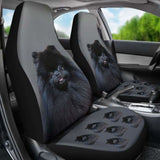 Pomeranian Car Seat Covers Black 195016 - YourCarButBetter