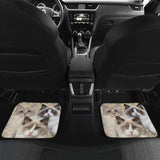 Ragdoll Cat Car Floor Mats For Ragdoll Cat Lovers 112428 - YourCarButBetter