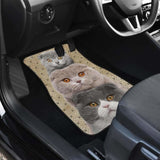 Scottish Fold Cat Car Floor Mats For Scottish Fold Cat Lover 112428 - YourCarButBetter