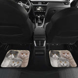 Scottish Fold Cat Car Floor Mats For Scottish Fold Cat Lover 112428 - YourCarButBetter