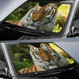 Siberian Tiger Dartmoor Zoo Hd Car Sun Shade 172609 - YourCarButBetter