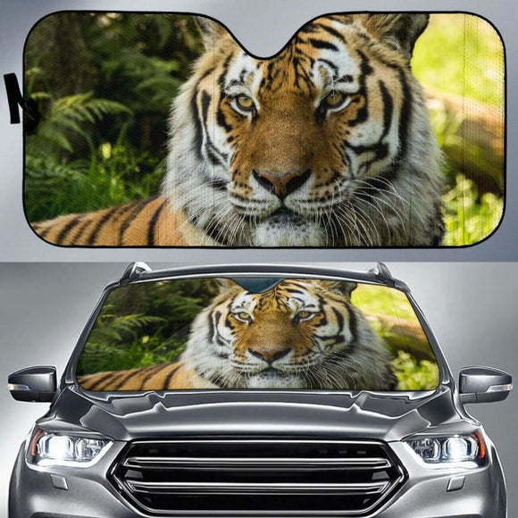 Siberian Tiger Dartmoor Zoo Hd Car Sun Shade 172609 - YourCarButBetter