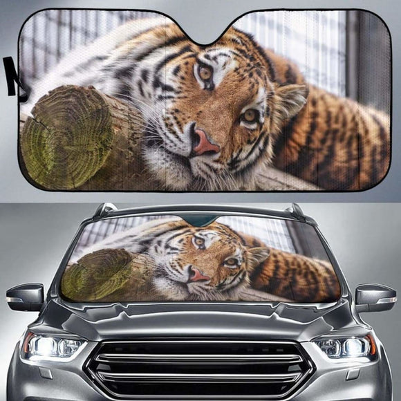 Sumatran Tiger Almaty Zoo Kazakhstan Car Sun Shade 172609 - YourCarButBetter