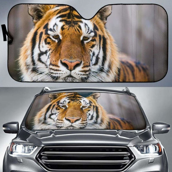 Tiger Face Wild Tiger Closeup Hd Car Sun Shade 172609 - YourCarButBetter