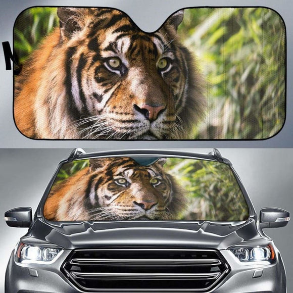 Tiger Wild Animals Starring 4K Car Sun Shade 172609 - YourCarButBetter