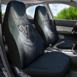 Whisperfoot Seat Covers Amazing Best Gift Ideas Cat Lovers 112428 - YourCarButBetter